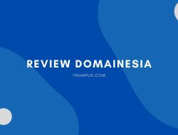 Review DomaiNesia