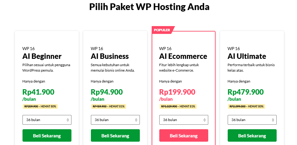 wordpress hosting